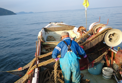 びわ湖の漁業を取り戻す外来魚対策 水産資源をまもるための滋賀県の取り組み