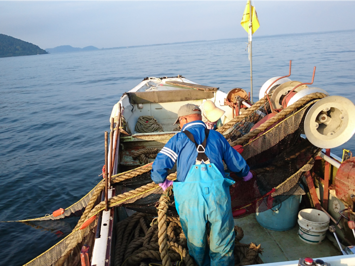 びわ湖の漁業を取り戻す外来魚対策 水産資源をまもるための滋賀県の取り組み