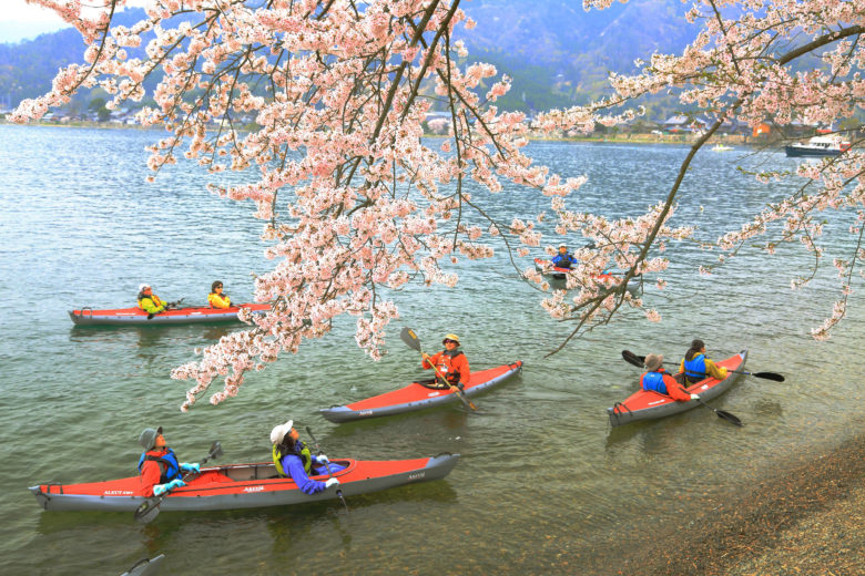 奥琵琶湖の桜スポット「海津大崎」を水上から ！ 環境にやさしいクルージング