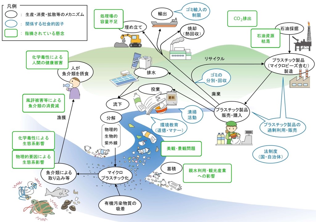 琵琶湖におけるマイクロプラスチック問題～私たちだからこそできる事～