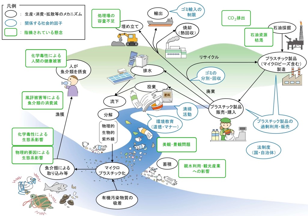 問題 マイクロ プラスチック マイクロプラスチックが人体に与える影響は？