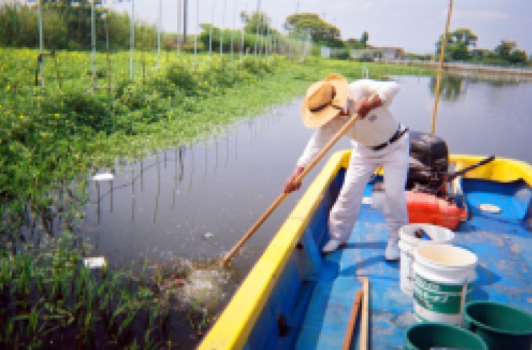 びわ湖の漁業を取り戻す外来魚対策 水産資源をまもるための滋賀県の取り組み