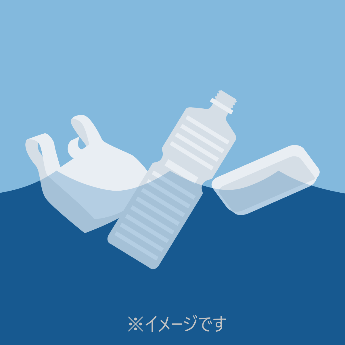 赤野井湾でプラスチックごみの実態把握調査が行われました