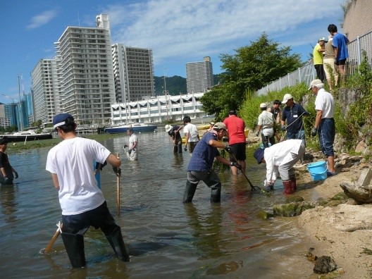 琵琶湖のシジミ復活大作戦　二枚貝のすみやすい環境整備を目指す「里湖づくり」プロジェクト