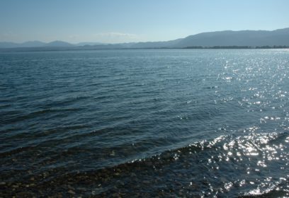 琵琶湖の生態系を支えるプランクトン　固有種には絶滅危惧種も