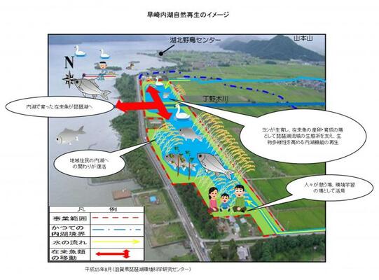 内湖の再生にむけて　日本最大のビオトープ実験地「早崎内湖ビオトープ」