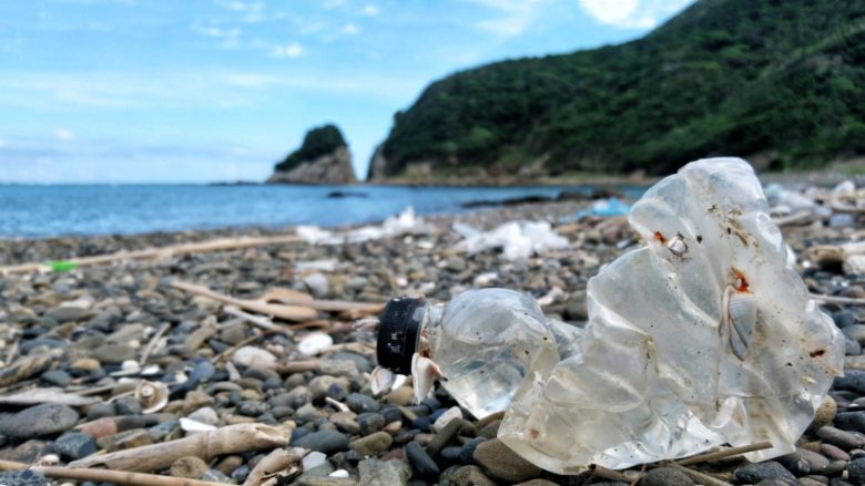 琵琶湖におけるマイクロプラスチック問題～私たちだからこそできる事～