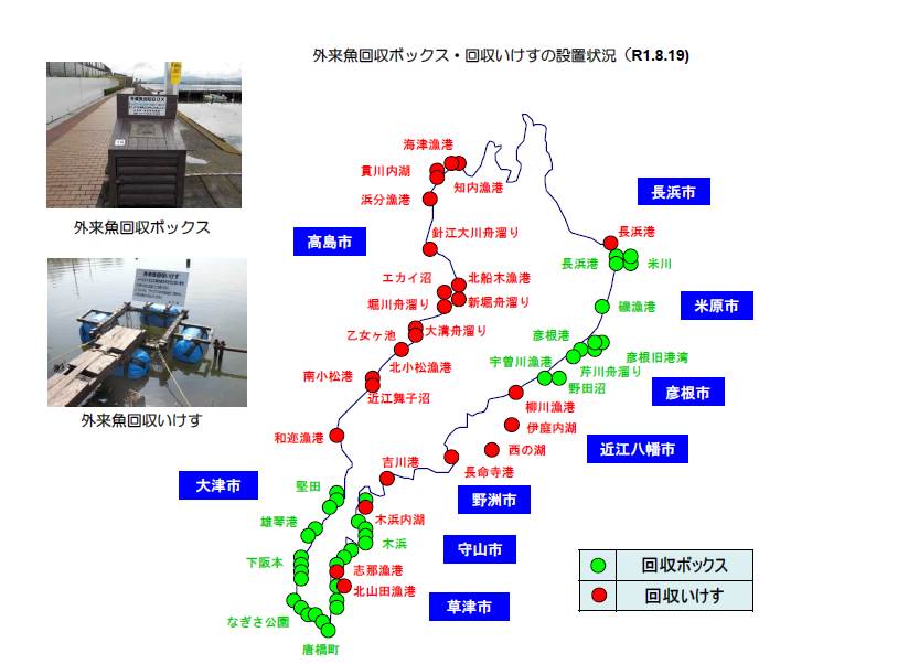 釣りを楽しみながら外来魚駆除を　滋賀県「外来魚回収ボックス・いけす」などの取り組み