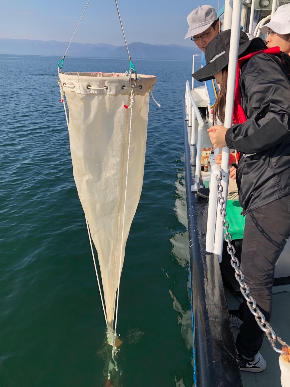 小さな小さな ミジンコ が琵琶湖の水を浄化する 琵琶故知新