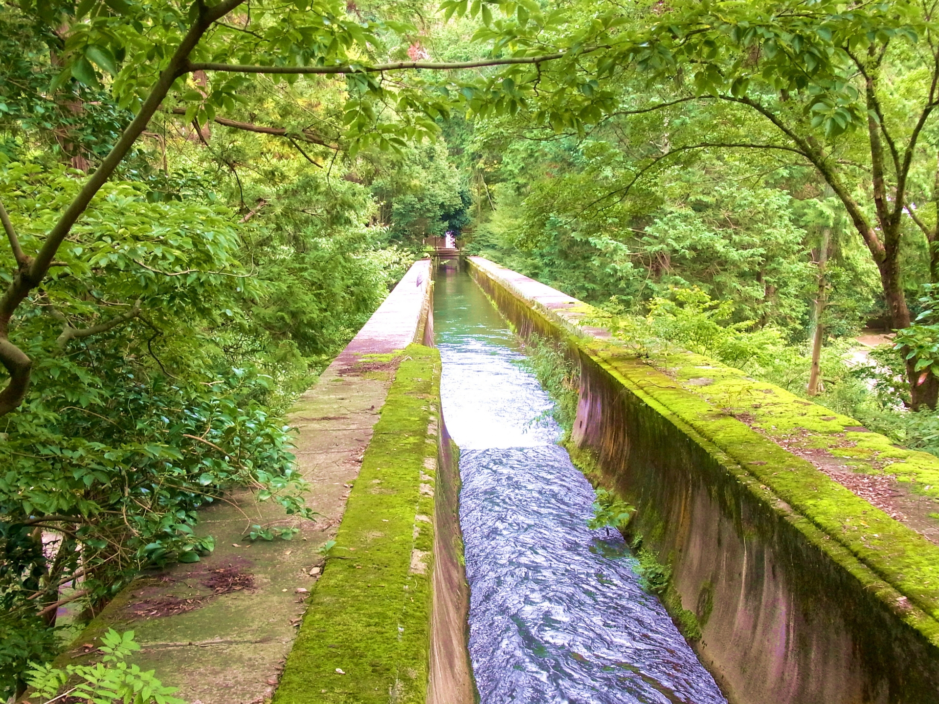 京都復興の支えに琵琶湖あり？「琵琶湖疎水」