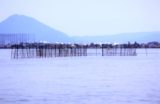 琵琶湖の伝統漁法「魞漁（えりりょう）」