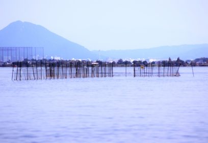 琵琶湖の伝統漁法「魞漁（えりりょう）」