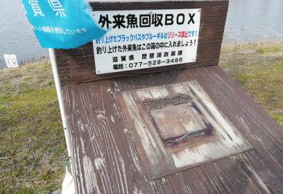 釣りを楽しみながら外来魚駆除を　滋賀県「外来魚回収ボックス・いけす」などの取り組み