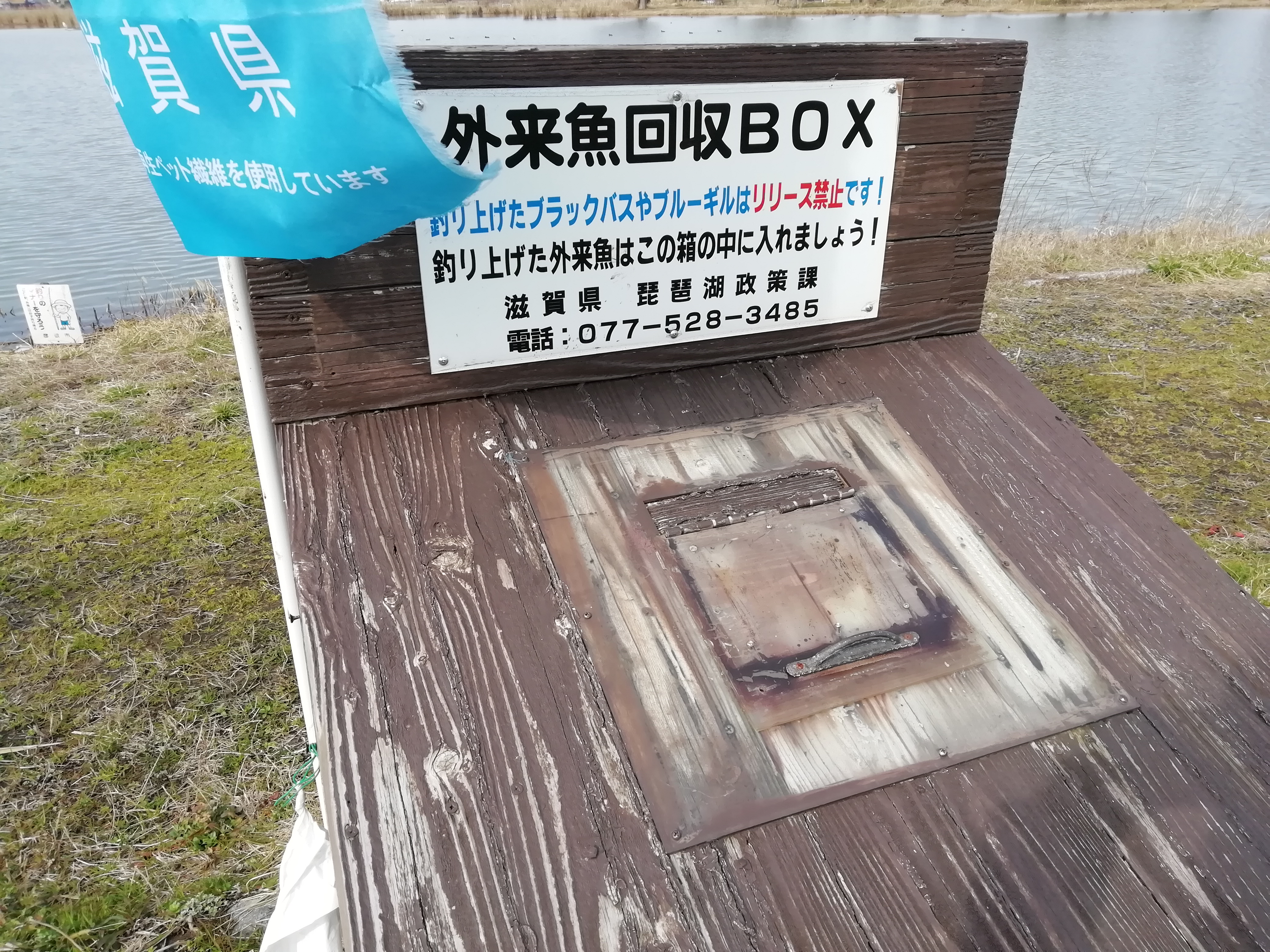 釣りを楽しみながら外来魚駆除を　滋賀県「外来魚回収ボックス・いけす」などの取り組み