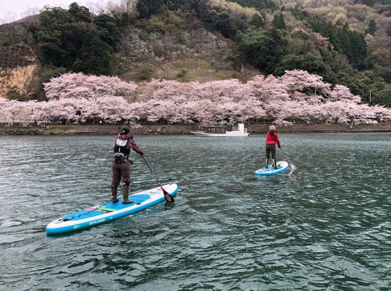 奥琵琶湖の桜スポット「海津大崎」を水上から ！ 環境にやさしいクルージング