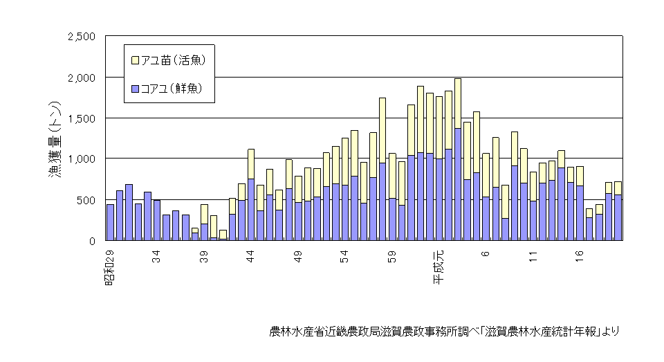 琵琶湖のアユ減少の原因は外来種のプランクトン？