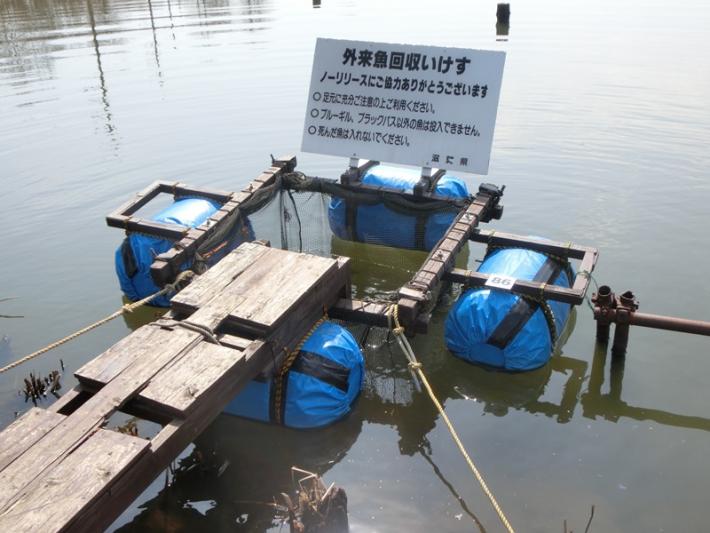 釣りを楽しみながら外来魚駆除を　滋賀県「外来魚回収ボックス・いけす」などの取り組み