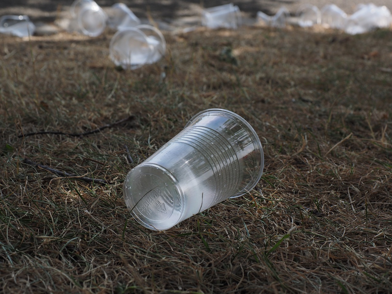 海洋プラスチックごみを減らすために「琵琶湖・淀川流域海ごみ抑制プラットフォーム」