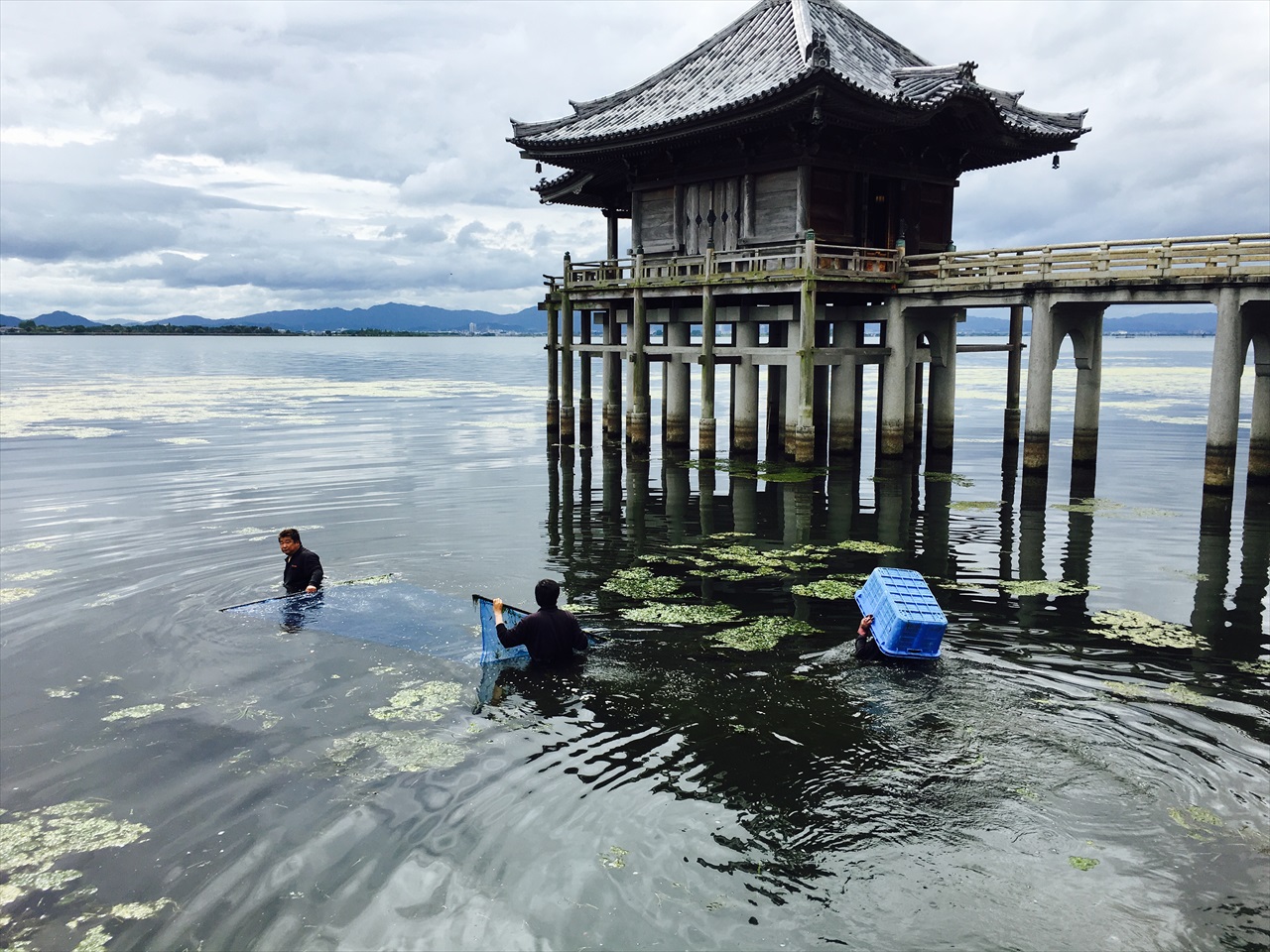 地域に根差した環境活動！ふるさと琵琶湖・堅田の景観を守る「大津衛生社」