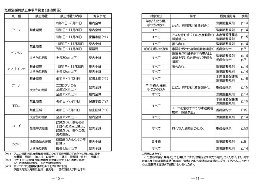 ホンモロコの産卵を守れ！！4月・5月伊庭内湖・西の湖に流入する川で漁が禁止に