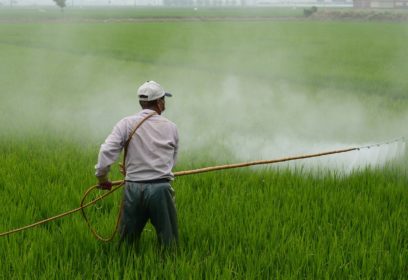 琵琶湖へ流れ込む農薬が及ぼす生き物への影響　滋賀県の取組みは？