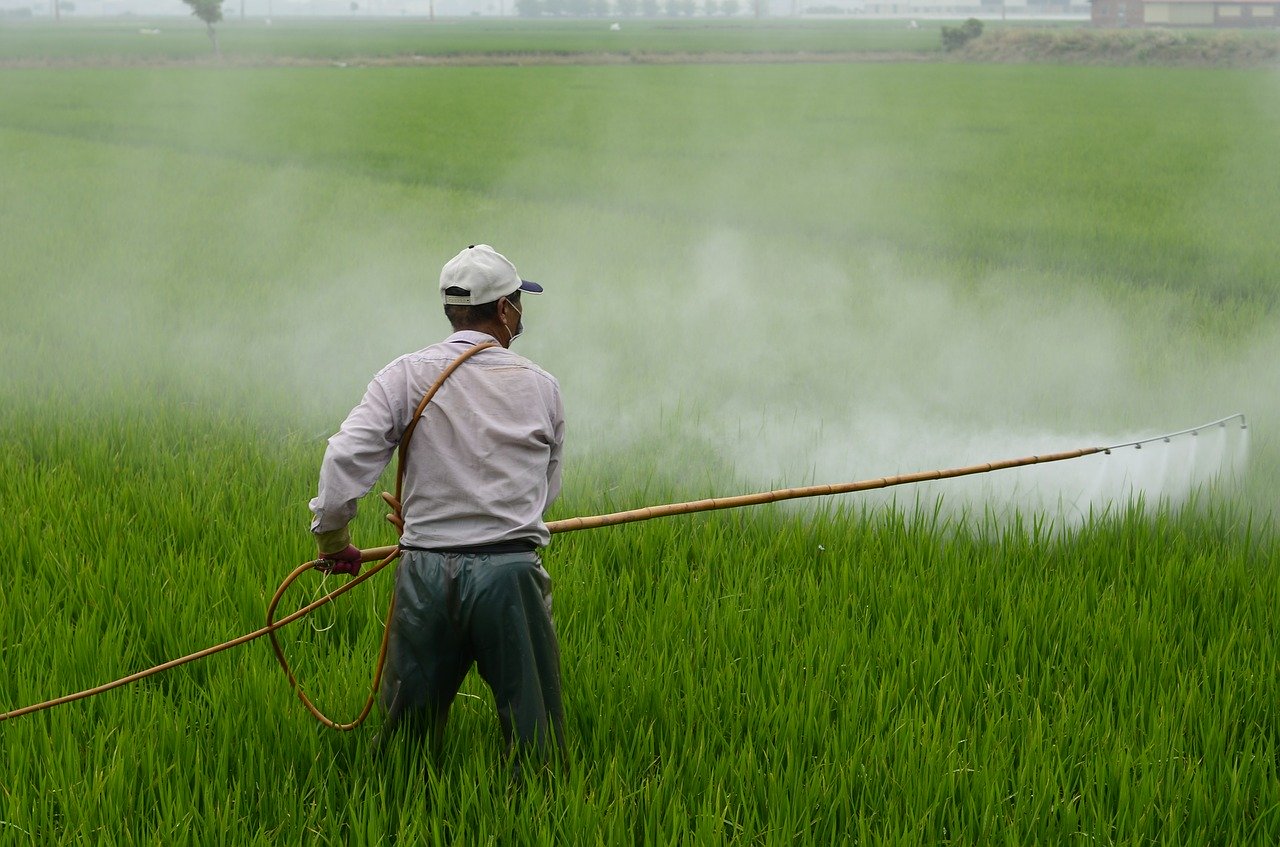 琵琶湖へ流れ込む農薬が及ぼす生き物への影響　滋賀県の取組みは？