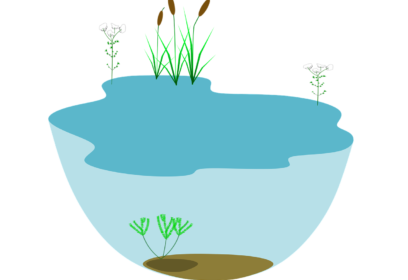 日本一の面積、貯水量を誇る琵琶湖はどれだけ大きいのか。いろいろなものと比較してみた